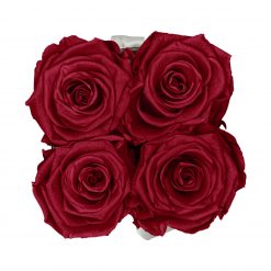 Eckige Rosenbox in schwarz weiß mit roten Rosen von oben