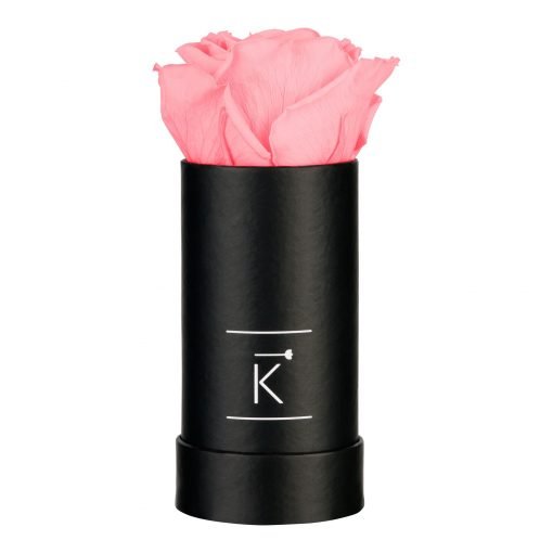 Kleine schwarze Rosenbox mit rosaner Infinityrose